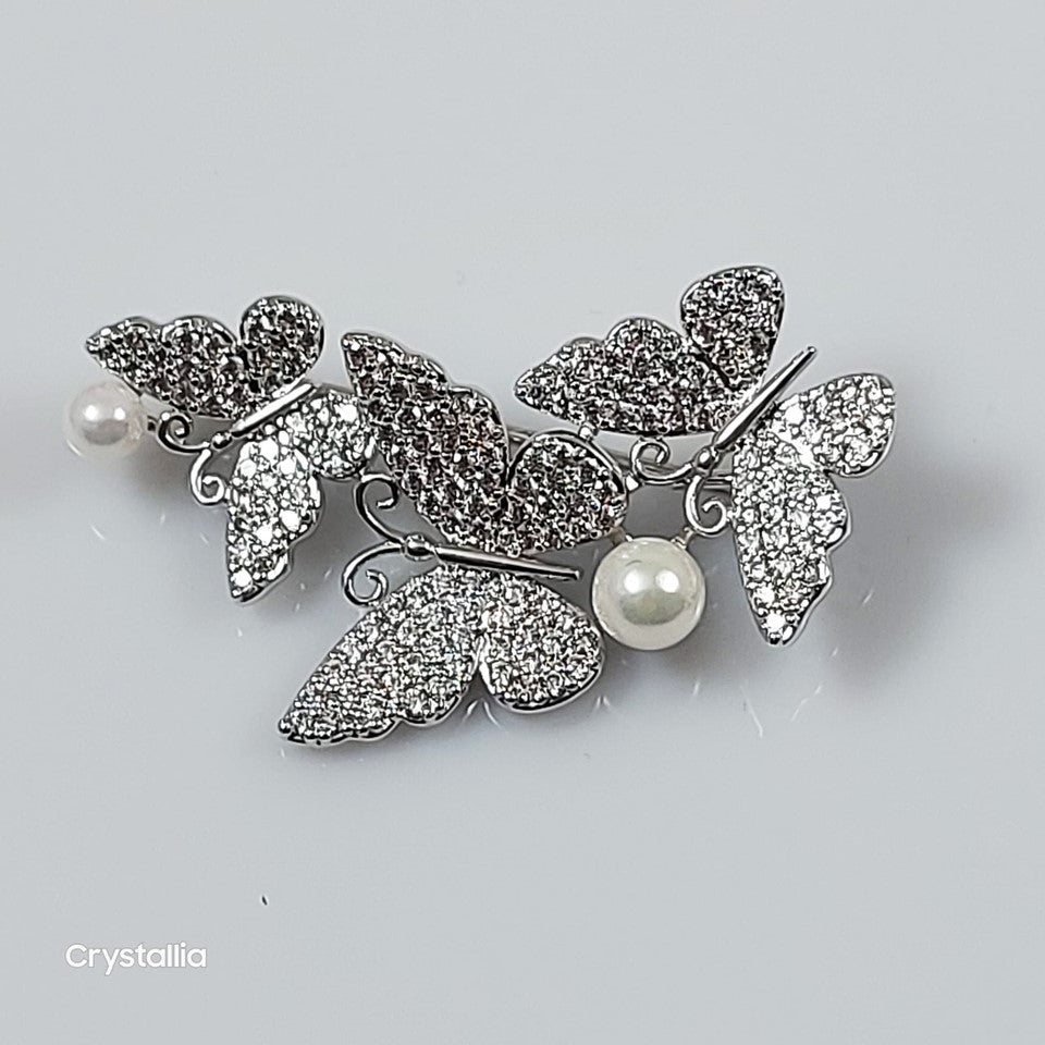 CRBR09049-BRH1