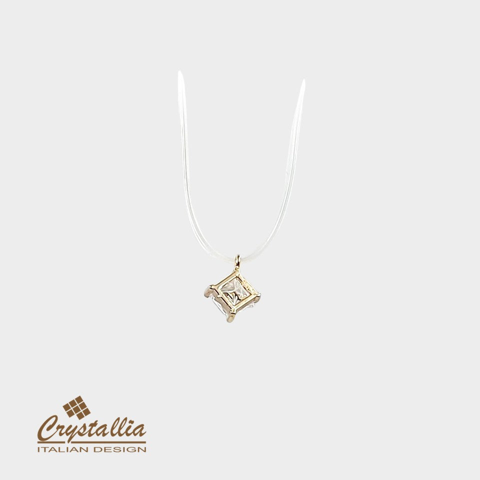 CRP02938-S2